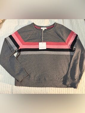 beachlunchlounge Gray Crewneck Sweater with Pink and Black Stripes NWT SZ small